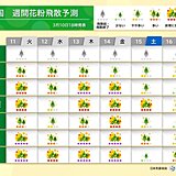 スギ花粉ピーク　11日は曇りや雨でも対策を　13日と14日は東京などで大量飛散