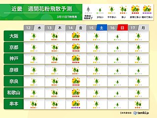 近畿はスギ花粉飛散の最盛期に　14日(金)は広範囲で大量飛散　「極めて多い」所も