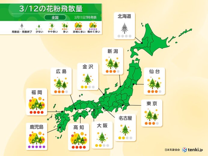 明日12日はスギ花粉が大量飛散　飛散のピーク迎える　東京では13日から最高ランク