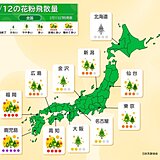 明日12日はスギ花粉が大量飛散　飛散のピーク迎える　東京では13日から最高ランク