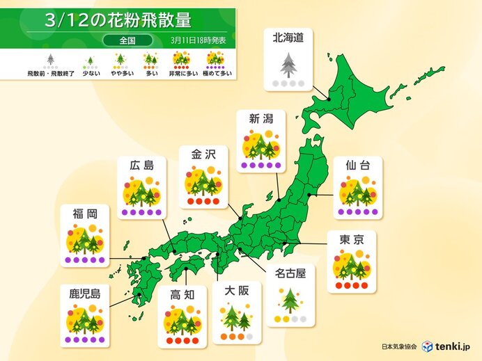 今日12日の花粉情報　スギ花粉の飛散がピーク　曇りや雨でも万全な対策を