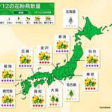 今日12日の花粉情報　スギ花粉の飛散がピーク　曇りや雨でも万全な対策を