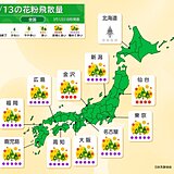 今日13日　東北～九州「花粉」が大量飛散　北海道～北陸「黄砂」飛来　対策方法は?