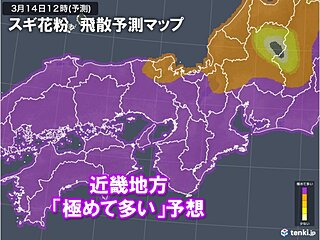 スギ花粉　明日14日も近畿は「極めて多い」予想　この先の1週間の見通しは