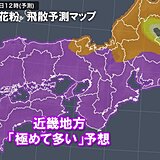 スギ花粉　明日14日も近畿は「極めて多い」予想　この先の1週間の見通しは