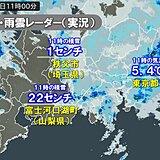 関東甲信は冷たい雨や雪　河口湖3月としては7年ぶり積雪20センチ以上　都心5℃台