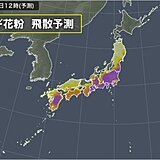 17日は雨あがりで花粉飛散「極めて多い」所も　東京都内はヒノキ花粉もわずかに観測