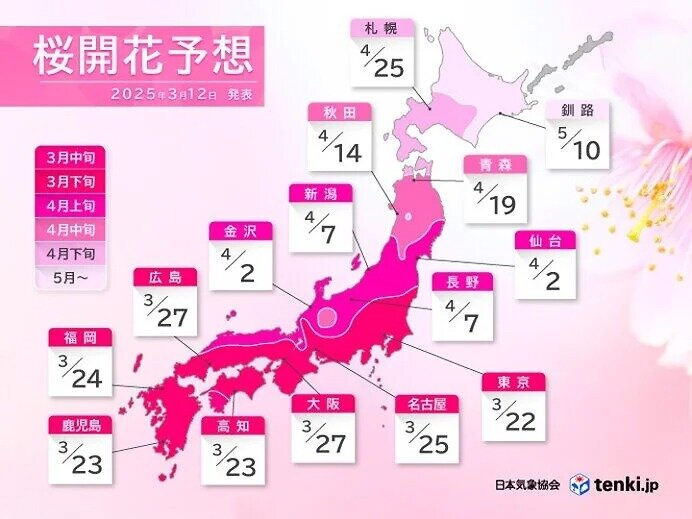 桜の開花予想日はいつ?