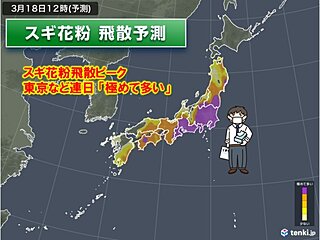 スギ花粉ピーク　20日以降、東京・大阪は連日「極めて多い」大量花粉が飛散予想