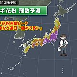 スギ花粉ピーク　20日以降、東京・大阪は連日「極めて多い」大量花粉が飛散予想