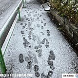 練馬区など東京23区で道路に雪が積もり始める　スリップ事故や転倒に注意