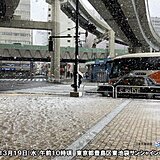 東京都心　午前中に0℃台　予想より気温下がり積雪も　午後は止むが北風強く体感冬