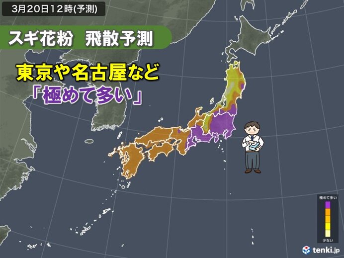 20日春分の日　天気回復で再び「大量飛散」