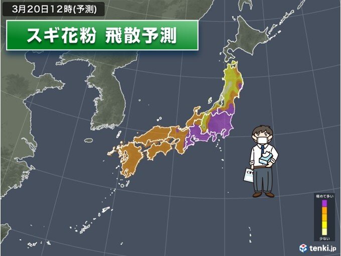 花粉が大量飛散　東京・名古屋「極めて多い」対策万全に