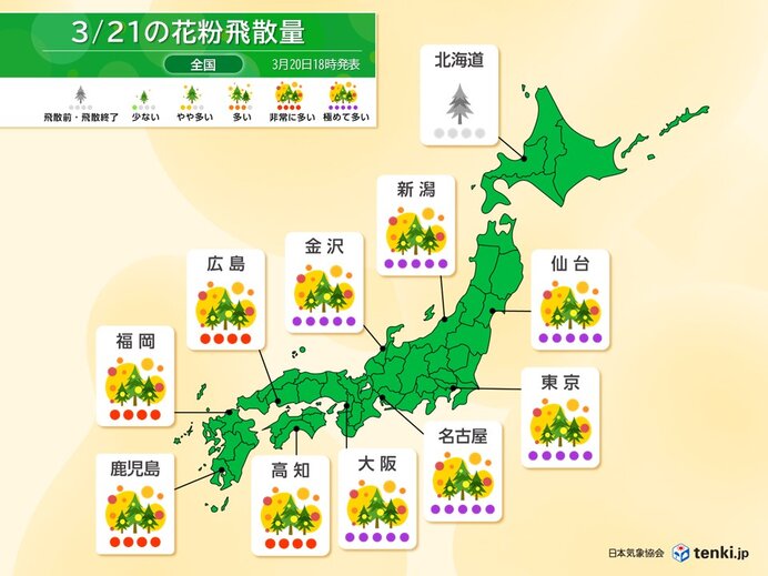 今日21日も花粉が大量飛散