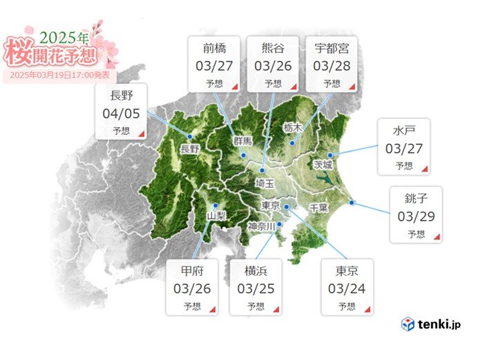 桜の開花も間近　東京は24日予想