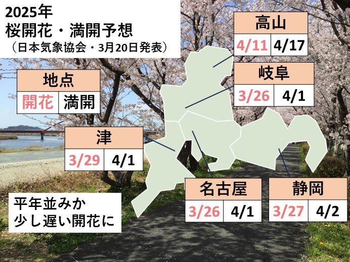 東海地方の桜　開花・満開予想