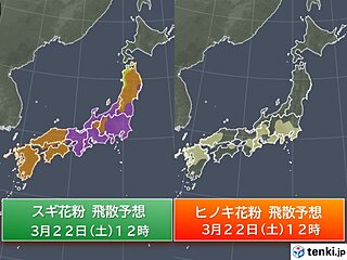 24日にかけて「春の5K」のツートップが猛威を振るう　花粉・黄砂に注意を