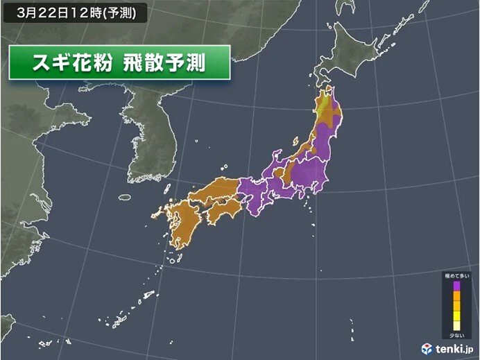 近畿から東北で「極めて多い」予想