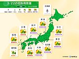 今日22日も花粉飛散ピーク続く　近畿から東北で「極めて多い」　ヒノキ花粉の対策も