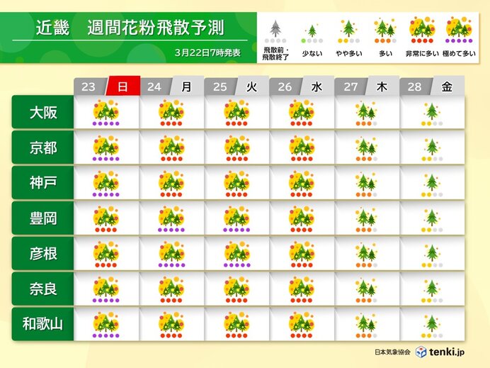 そろそろヒノキ花粉にも注意