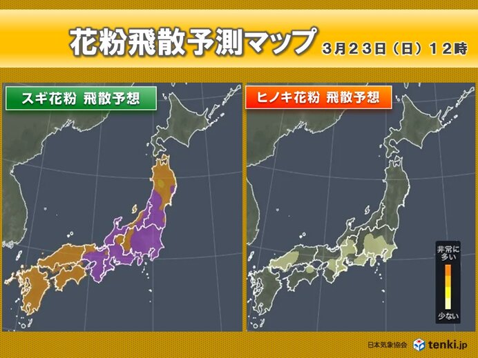 明日23日から「花粉+黄砂」のダブルパンチ　25日は要注意　予防や対策ポイントは