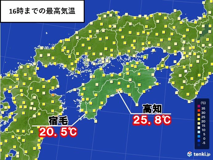 高知県宿毛市で桜が開花