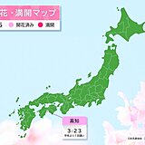 【速報】高知で桜(ソメイヨシノ)開花　昨年と同じ日に観測　気象官署で全国トップ