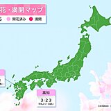 高知に続き　熊本や宇和島(愛媛県)でも桜(ソメイヨシノ)が開花