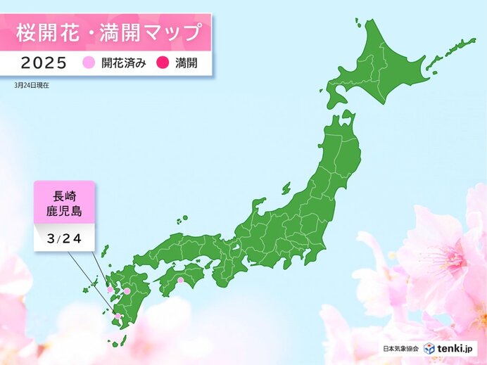 長崎と鹿児島で桜(ソメイヨシノ)が開花