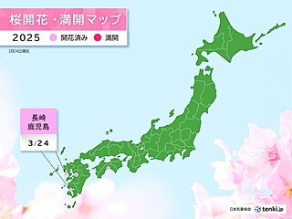 長崎と鹿児島で桜(ソメイヨシノ)が開花