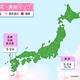 24日は東京、長崎、宮崎、鹿児島で桜が開花　今週は関東から九州で開花ラッシュへ