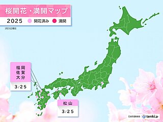 今日25日　福岡・佐賀・大分・松山で続々と桜が開花　28日にかけて開花ラッシュ