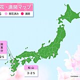 今日25日　福岡・佐賀・大分・松山で続々と桜が開花　28日にかけて開花ラッシュ