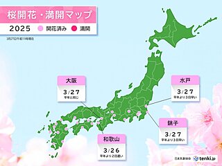 今日27日は大阪で桜開花　満開予想は4月4日　関東では銚子、水戸と開花ラッシュ