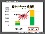 中国地方のヒノキ花粉　大量飛散はいつまで?　花粉・紫外線・寒暖差対策を万全に