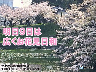 明日9日は広くお花見日和　青空に桜は見納めの所も　10日以降は九州から雨風強まる