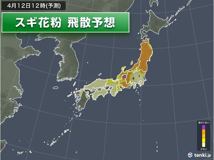 今日12日も九州北部～東北で花粉が大量飛散　東海は「極めて多い」万全な対策を_画像