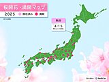 桜前線が東北を北上中　今日15日は秋田で桜が開花　GWには北海道で見ごろに