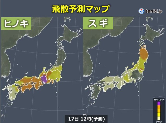 画像A