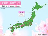 本州最北端　青森で桜が開花　平年より5日早く　来週は桜前線が北海道へ
