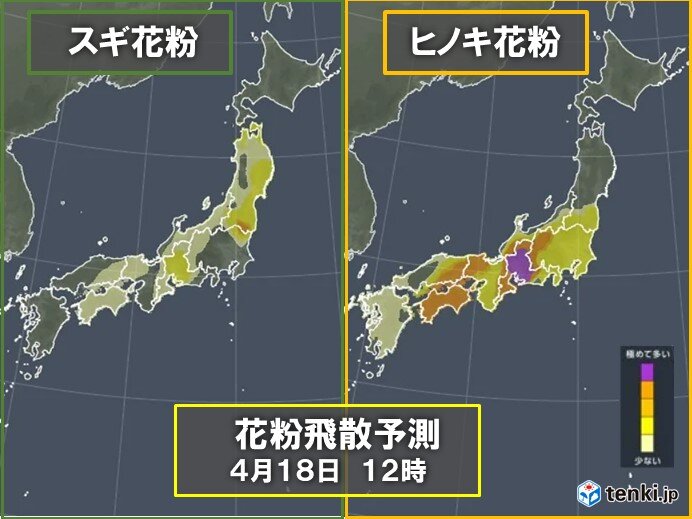 画像A