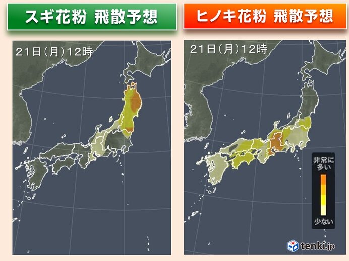 スギ・ヒノキ花粉は終盤もまだ非常に多い所も