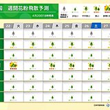 21日の花粉情報　名古屋は「非常に多い」　GW頃までは花粉症対策を