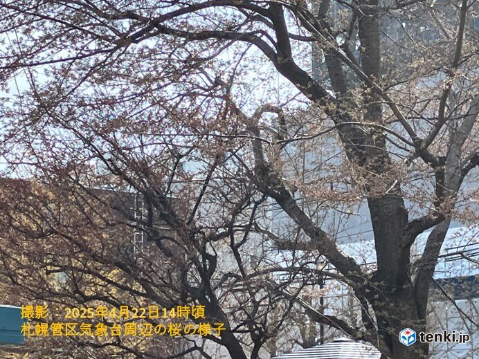 5月　気温は全般に高いが、一時的な寒気に注意