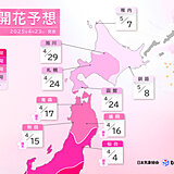桜前線が北海道に到達　ゴールデンウィーク中は東北北部と北海道で見頃に