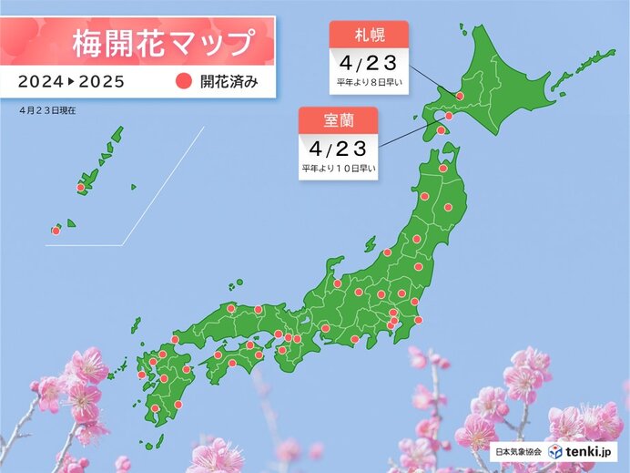 画像B