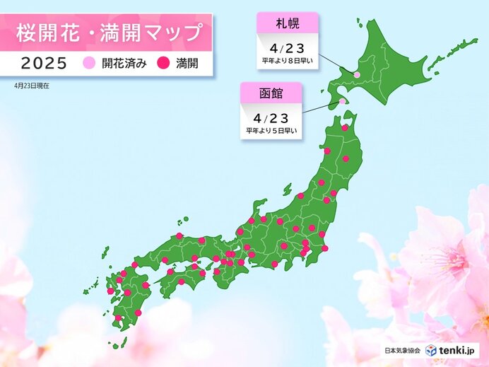 函館や札幌で桜が開花　北海道の気象台で今季初めて　室蘭や札幌で梅も開花
