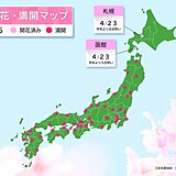 函館や札幌で桜が開花　北海道の気象台で今季初めて　室蘭や札幌で梅も開花