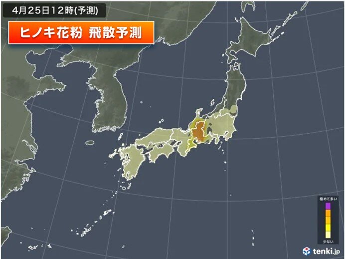 画像B
